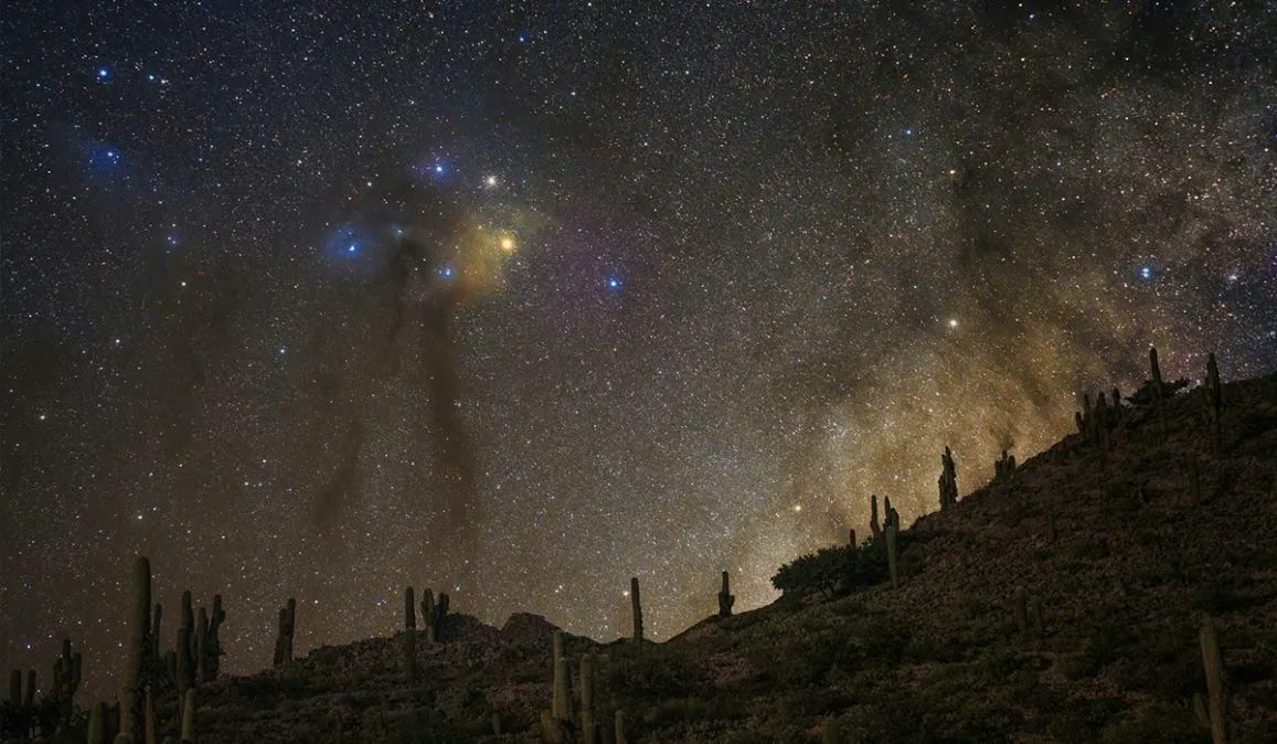 Vía Láctea sobre una ladera de cardones en la Quebrada de Humahuaca, lugar de la observación de estrellas
