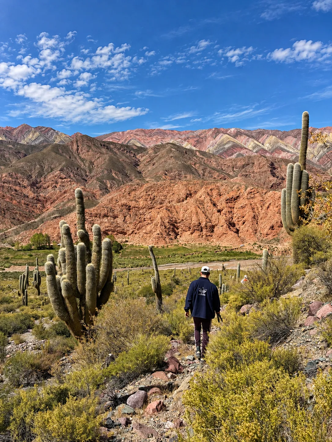 Viajero caminando entre cardones hacia el Corazón del Hornocal, con los cerros de colores al fondo