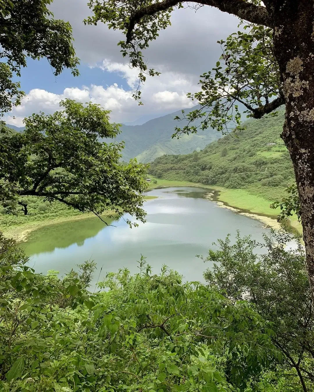 Lagunas de Yala entre cerros verdes y bosque de las Yungas, excursión de último día en Jujuy