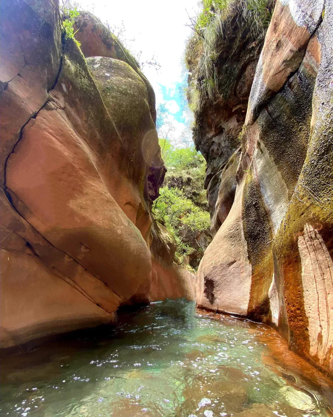 Paredones de Yala, angosto de roca con agua turquesa en la zona verde de Jujuy